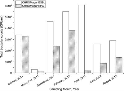 Wastewater Surveillance Detected Carbapenemase Enzymes in Clinically Relevant Gram-Negative Bacteria in Helsinki, Finland; 2011–2012